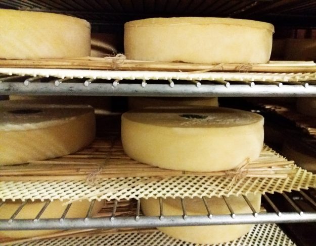 Fromagerie Terres d'Auvergne