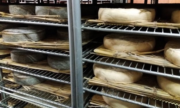 Fromagerie Terres d'Auvergne